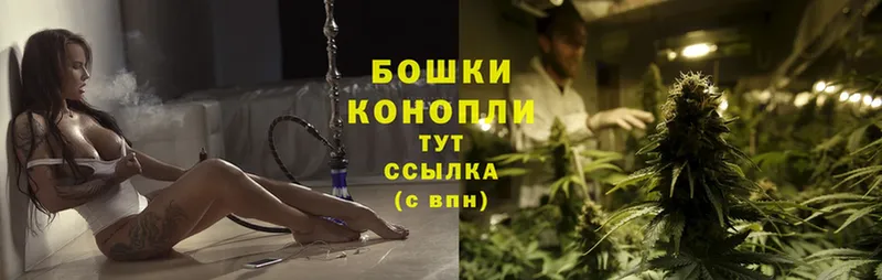 Конопля OG Kush  цены   Лысьва 